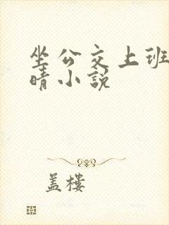 坐公交上班的苏晴小说
