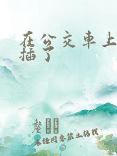在公交车上被人插了
