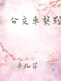 公交车系列h