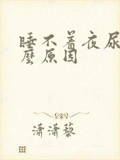 睡不着夜尿多什么原因