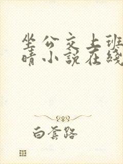 坐公交上班的苏晴小说在线阅读