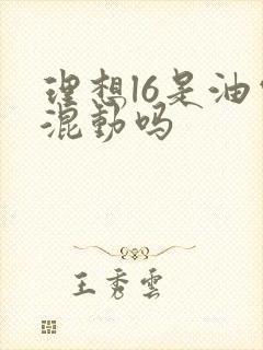 理想l6是油电混动吗