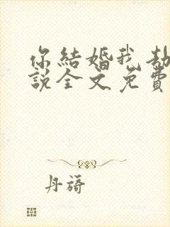 你结婚我劫婚小说全文免费