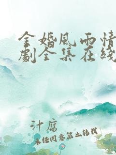 金婚风雨情电视剧全集在线观看免费