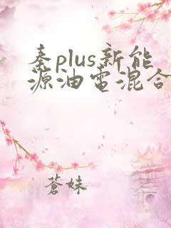 秦plus新能源油电混合