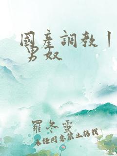 国产调教丨vk 男奴