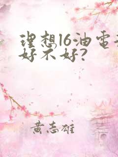 理想l6油电混好不好?