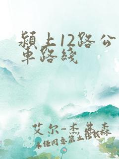 颍上12路公交车路线