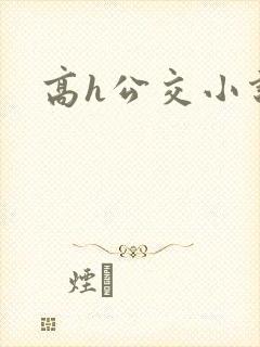 高h公交小说