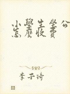小学生坐公交车怎么收费