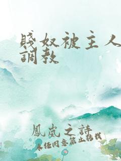 贱奴被主人狠狠调教