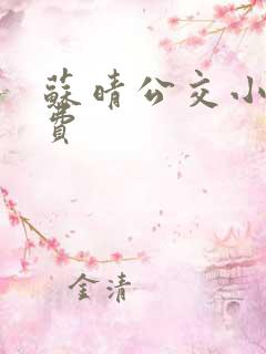 苏晴公交小说免费