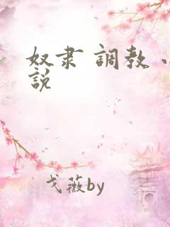 奴隶 调教 小说