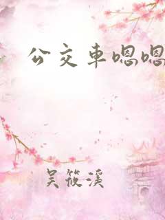 公交车嗯嗯嗯