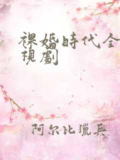 裸婚时代全集电视剧