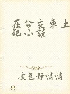 在公交车上被侵犯小说