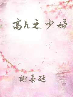 高h之少妇
