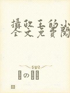 摄政王的小王妃全文免费阅读