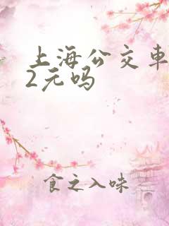 上海公交车都是2元吗
