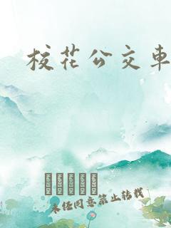 校花公交车np