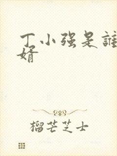 丁小强是谁的女婿