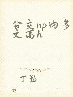 公交np肉多荤文高h