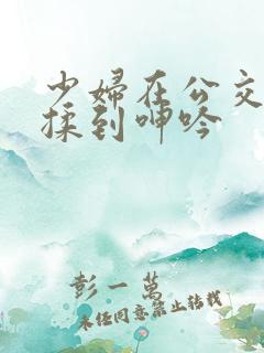 少妇在公交车被揉到呻吟