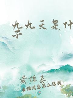 九九天是什么日子