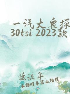一汽大众探岳330tsi 2023款