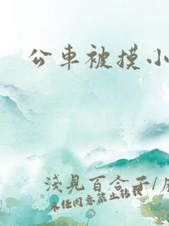 公车被摸小说