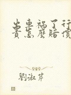 出车祸了行人全责怎么赔偿的