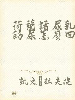 荷兰猪尿乳白色的尿怎么回事