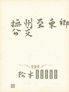 抚州至东乡城际公交