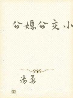 公媳公交小说