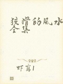 狡猾的风水相师全集