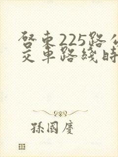 启东225路公交车路线时间表