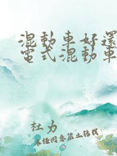 混动车好还是插电式混动车好