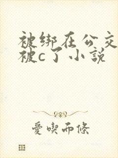 被绑在公交车里被c了小说