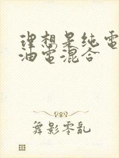 理想是纯电还是油电混合