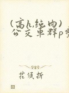 (高h,纯肉)公交车群p双性