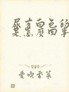 尿有白色的泡泡是怎么回事