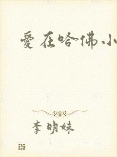 爱在哈佛小说