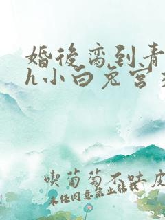 婚后脔到青梅哭h小白兔宫交h