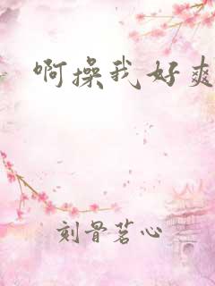 啊操我好爽视频