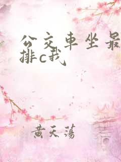 公交车坐最后一排c我