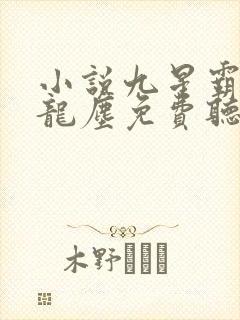 小说九星霸体诀龙尘免费听书