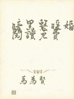 暗黑系暖婚免费阅读免费