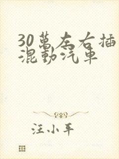 30万左右插电混动汽车