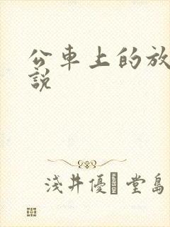 公车上的放荡小说