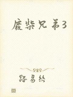 废柴兄弟3